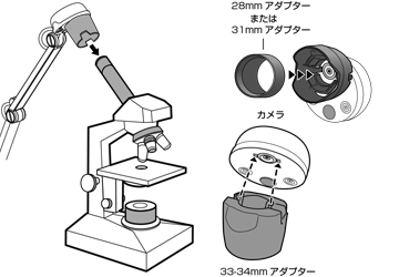 顕微鏡アダプターイメージ